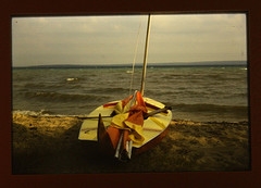 used sunfish sailboat